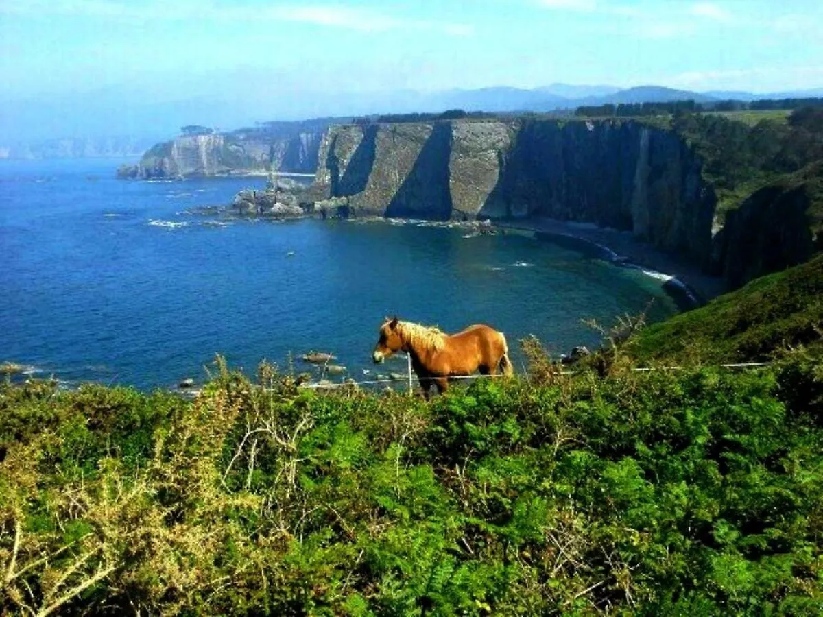 Casa Carlini Bed & Breakfast Getxo